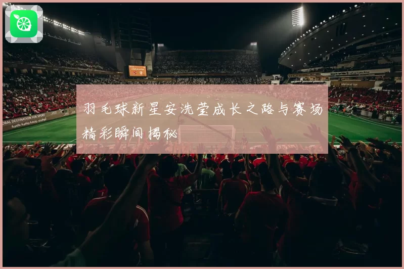 羽毛球新星安洗莹成长之路与赛场精彩瞬间揭秘