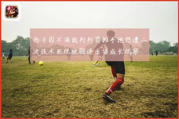 西卡因不满裁判判罚摊手抱怨遭二次技术犯规被驱逐出场成长观察