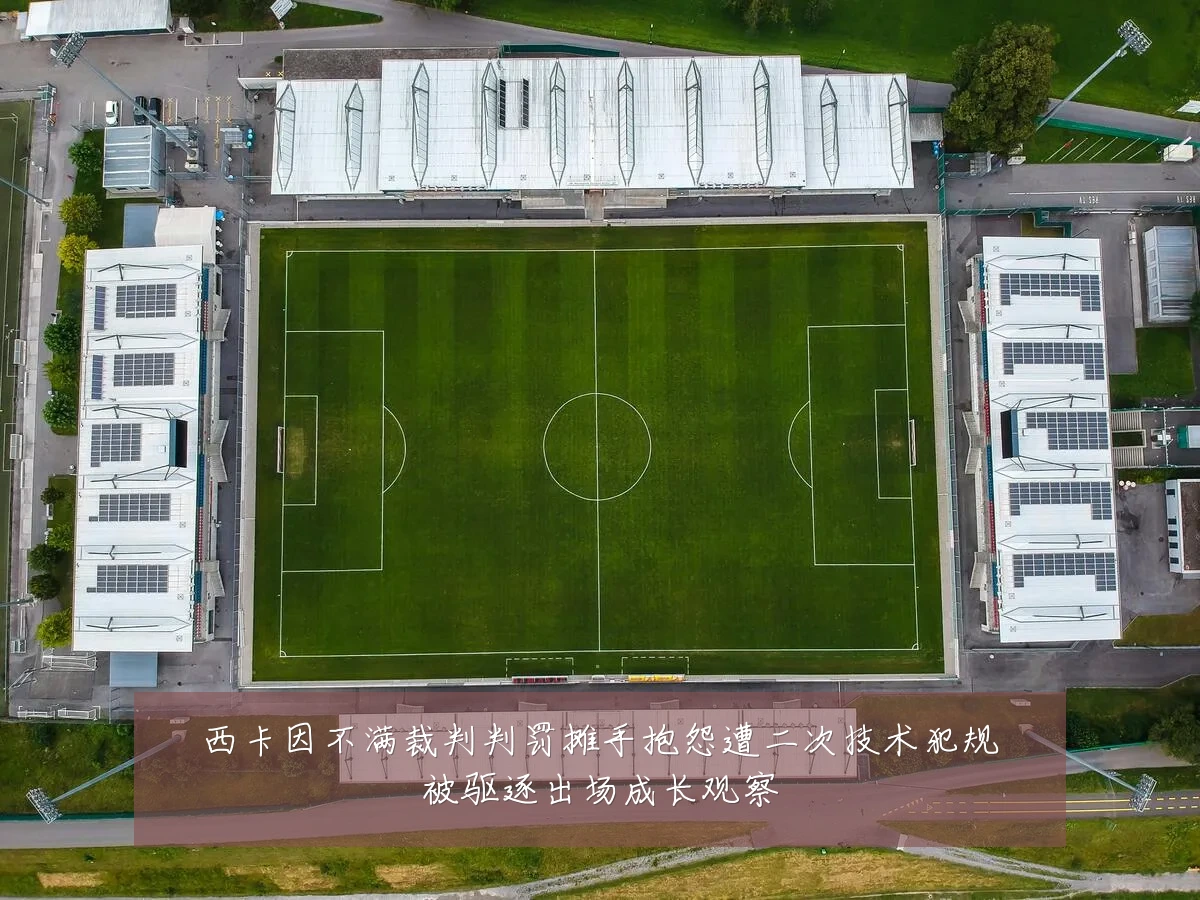 西卡因不满裁判判罚摊手抱怨遭二次技术犯规被驱逐出场成长观察